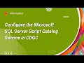 324 How to Configure the Microsoft SQL Server Script Catalog Service in CDGC