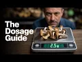 The Mushroom Dosage Guide You ve Been Searching For