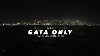 Gata Only Remix FloyyMenor Ozuna Anitta 