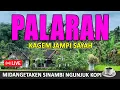 Lagu NGLARAS GENDING PALARAN SINAMBI LEYEH-LEYEH NGUNJUK KOPI NASGITEL LEYEH-LEYEH MANTUN MAKARYO