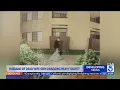 Husband of dead wife in Lancaster seen dragging large object hours before body found