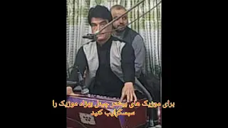 وحیدالله پروانی قوالی میبرد غم از دلها 