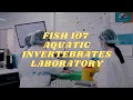 SQUID DISSECTION F107 Aquatic Invertebrates Laboratory