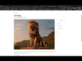 Rails JS Portfolio Project Walkthrough