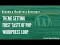 WordPress Developer Theme Development Settings The Famous WP Loop