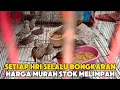 Download Lagu Setiap Hari Selalu Bongkaran Harga Murah Meriah Stok Melimpah!!! 
