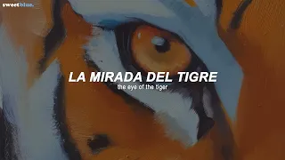 Survivor - Eye Of The Tiger (Sub. Español + Lyrics)