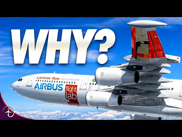 Video: Why DON’T We Use This Revolutionary Wing?