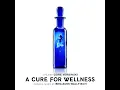 I Wanna Be Sedated (From "A Cure For Wellness" Soundtrack)