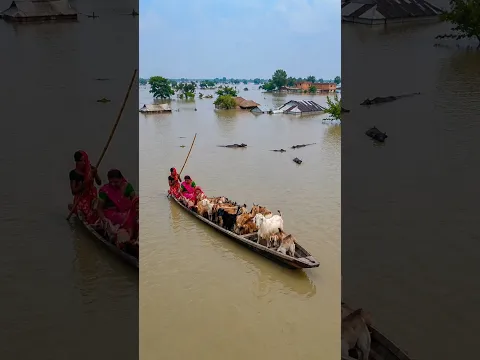 बिहार में भयंकर बाढ़ 😢 गंगा ने तोड़ा रिकॉर्ड | Bihar Flood #shorts #facts #explore