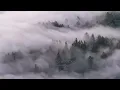 Mist in the Forest Clouds - Music for Relaxation/Yoga/Spa/Deep Sleep/Study