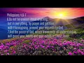 The Garden of Prayer (Ang Tanaman sa Pag-ampo) by Abigail Miller lyric video