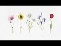 yung kai - wildflower (official audio)