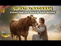 Lagu Kisah Pemuda Pemilik Sapi Betina Dan Mukjizat Nabi MUSA Menghidupkan Orang Mati.