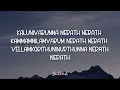 PEELINGS (Lyrics) Malayalam | Pushpa 2 The Rule | Allu Arjun | Rashmika | Sukumar | DSP