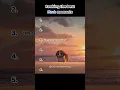 The best Mort moments in Madagascar