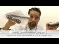 Vernier LabQuest 2 How To Training