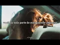 orlando - leith ross (legendado)