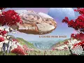 Lagu Infected Mushroom \u0026 Bliss - A Cookie From Space
