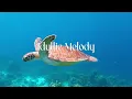 Baby Sleep Music, Lullaby for Babies To Go To Sleep - 12 Hours of Stunning Aquarium Relax Music