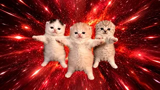 Three Kittens dancing to Bemax - Pew Pew Pew [AMV]