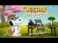Spring Tuesday Vibes with Workaholic Snoopy Smooth Jazz for Focus Productivity