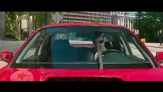 افضل سائق عن اغنية ديدين كلاش 