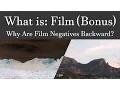 What Is Film Bonus Why Are Film Negatives Backward