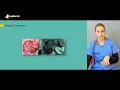 Mesenteric Ischaemia | Surgical Treatment