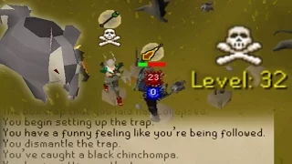 Chinchompa Pet at 79 Hunter First pet