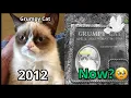 Download Lagu Legendary Meme Animals 🐱🐶🦍 – Then vs Now (Heartbreaking Updates 💔)