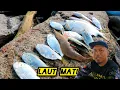 Download Lagu MEMUKAT DI Laut #gengdunia