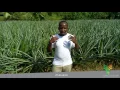 Download Lagu Smart Villages - Zimbabwe