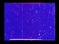 Joywave Destruction