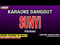 SUNYI KARAOKE DANGDUT - ERIE SUZAN
