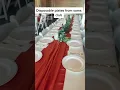 Sams club disposable plates for weddings