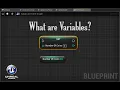 UE4 - What are Variables