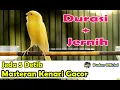 Download Lagu JEDA 5 DETIK MASTERAN KENARI GACOR FULL ISIAN
