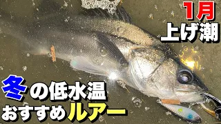 【1月河川上げ潮】低水温期の渋い時におすすめルアー！