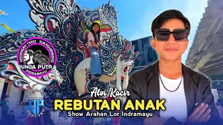 rebutan anak alvi kacir runda putra one show arahan lor indramayu 