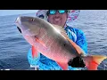 Snappers in Key Largo Saltwater Fishing