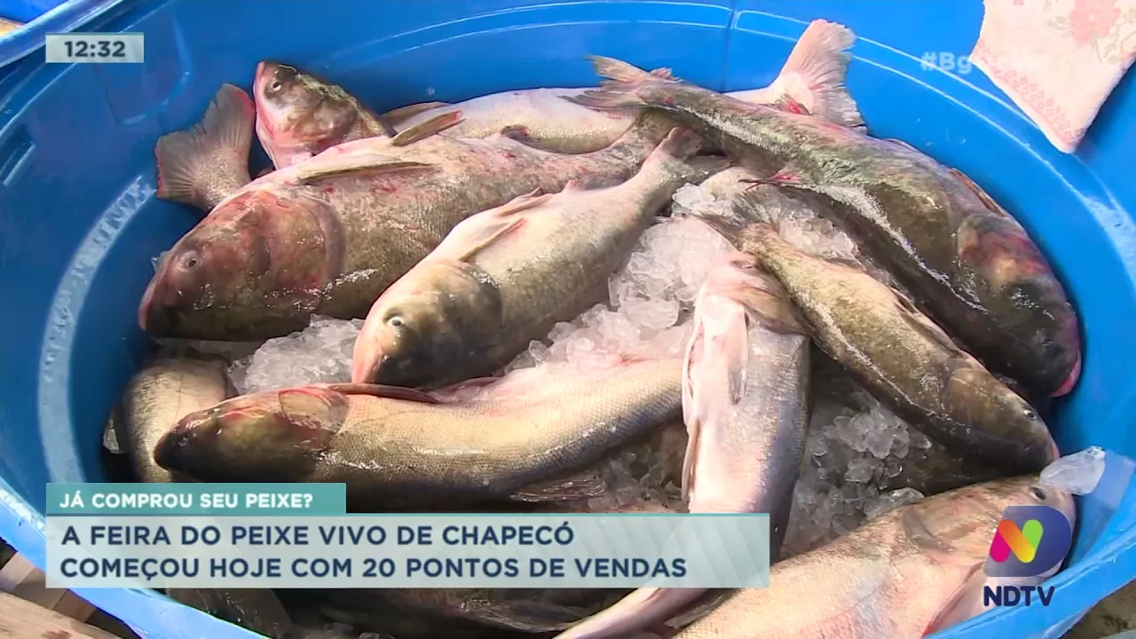 Já comprou seu peixe? Feira do Peixe Vivo de Chapecó começou nesta quarta-feira (31)