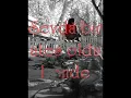 Düş Sokağı Sakinleri - Sevdan Bir Ateş