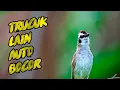 Download Lagu PANCINGAN SUARA TRUCUKAN MALAS BUNYI AGAR RAJIN BUNYI, 100% AMPUH BOS