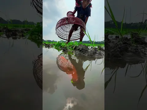Village little boy traditional polo fishing #fishing #polofishing #shorts
