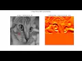 Real-Time Convolution in CNNs Python Animation Tutorial