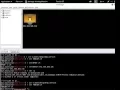 Armitage - Kali Linux Metasploitable OS