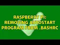 Raspberry Pi Removing autostart program from bashrc