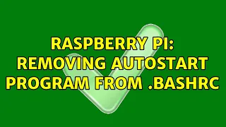 Raspberry Pi Removing autostart program from bashrc