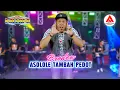 Asolole Tambah Pedot - Brodin | New Pallapa [Official Music Video]